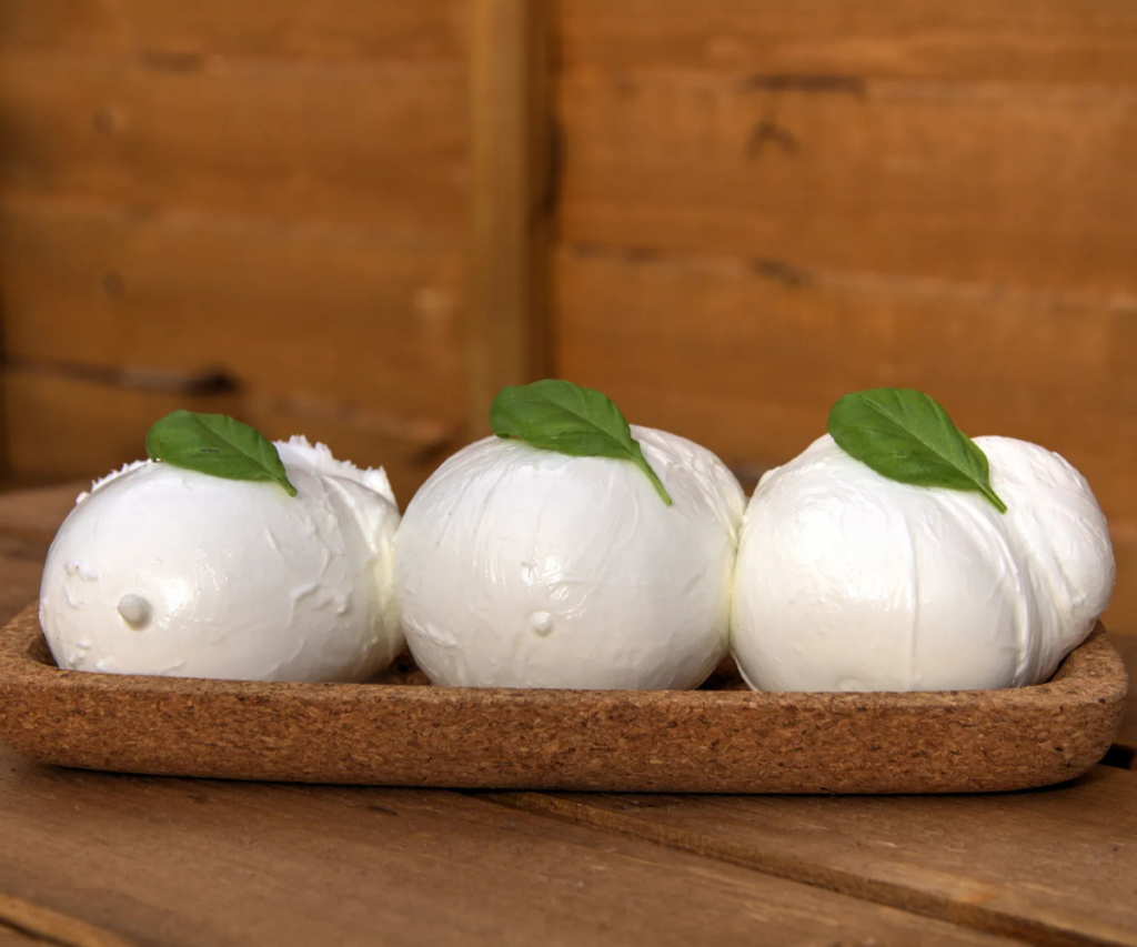 senza titolo (650 x 650 px) (1200 x 1000 px) (2) senza titolo (650 x 650 px) (1200 x 1000 px) (2)